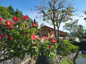 L'Albore Saluzzo